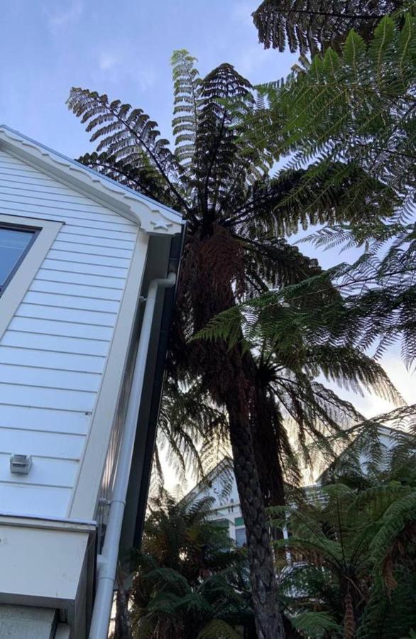 Hotel Tiny House In The Sky à Dunedin Extérieur photo